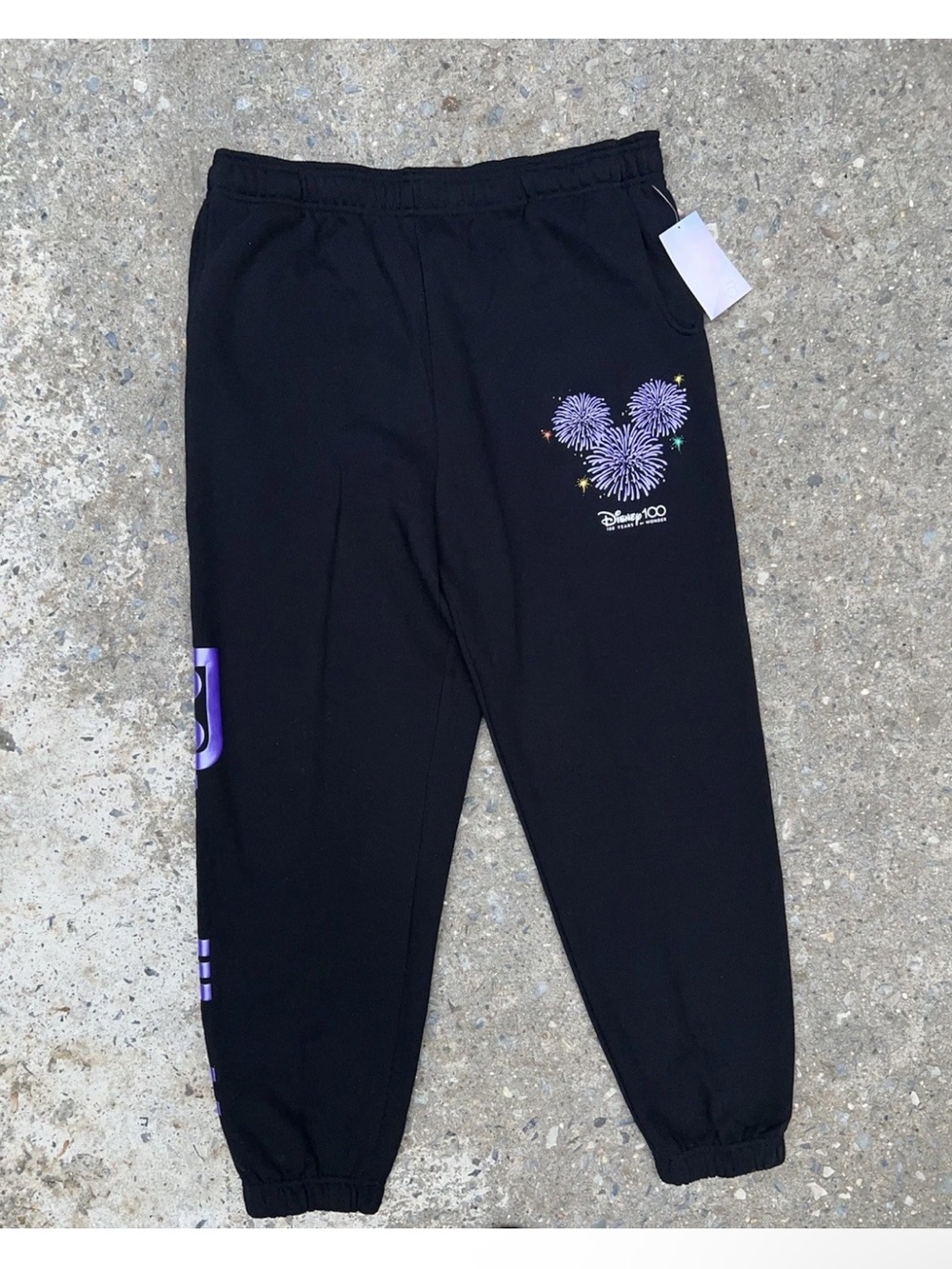 Disneyland Park Jogger Pants Disney 100 Platinum Celebration Finale Adult L NWT